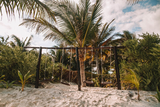 Green palm tree on white sand under blue sky