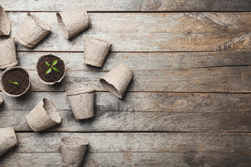 Plants seedlings in peat pots on wooden background