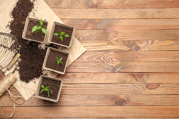 Plants seedlings in peat pots on wooden background