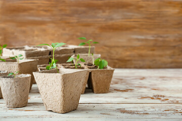 Plants seedlings in peat pots on wooden table