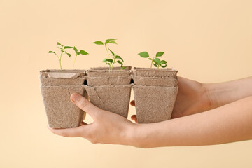 Female hands and peat pots with plants seedlings on light background