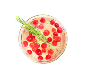 Glass of champagne cocktail with cranberry and rosemary on white background