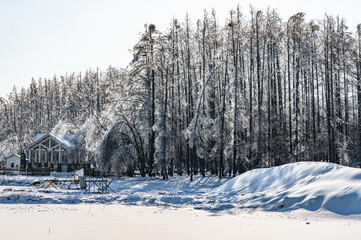 Winter snow scene in Jingyuetan National Forest Park, Changchun, China