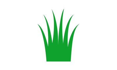 Grass illustration icon design
