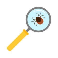 Vector realistic isolated ixodes tick insect with magnifier glass for decoration and covering on the transparent background.