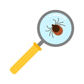 tick magnified yellow magnifying glass clip art preview