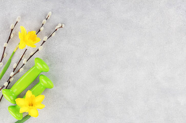 Sports spring background. Green dumbbells, willow branches and daffodils on a gray concrete background. Fitness and activity. Copy space. Flat lay.