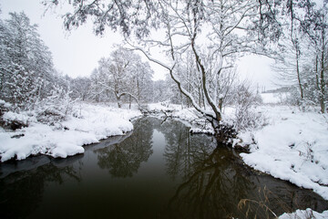 River in the winter forest