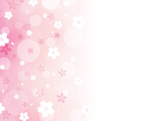 桜　サクラ　背景　カード　横型