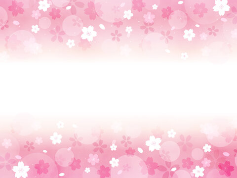 桜　サクラ　背景　カード　横型