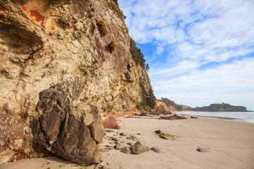 New Zealand coast