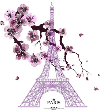 Vintage vector illustration of Eiffel tower with sakura flowers on grunge background