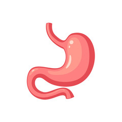 Human stomach. Internal organ, anatomy. Vector cartoon flat icon illustration isolated on white background.
