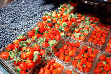 Many blueberries and strawberries in containers on the counter in an exotic fruit store