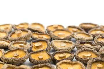 Chinese dried edible mushrooms on white background