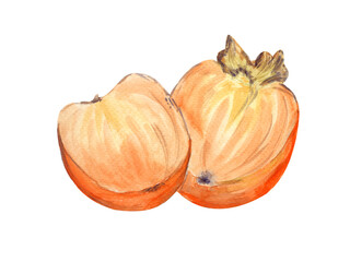 A persimmon cut in half. Watercolor painting isolated on white background. Healthy and delicious food