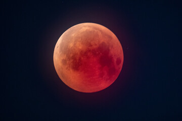Fototapeta premium full moon eclpse in sky