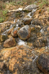 waterfall in the forest