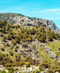 Fototapeta na wymiar Mountains on a sunny day in the Sierra de Grazalema In Spain