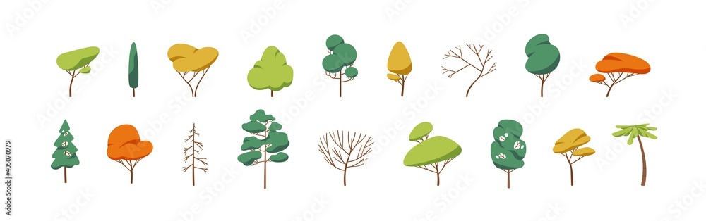 Poster collection of deciduous and evergreen forest plants isolated on white background. botanical collecti