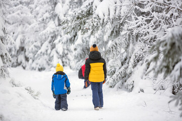 Sweet happy children, brothers, playing in deep snow in forest, frosted trees
