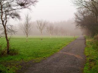 Walking path in a park in the morning, Fog in the background. Nature background. Mystical atmosphere. Nobody
