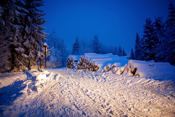 Winter snowy night  landscape of wonderful forest near road