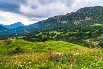 Fototapeta na wymiar Summer mountain landscape (Serra Cavallera, Spain, Ogassa)