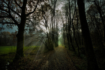 Obraz premium Gegenlicht