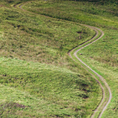 chemin de randonnée serpentant sur une colline verte