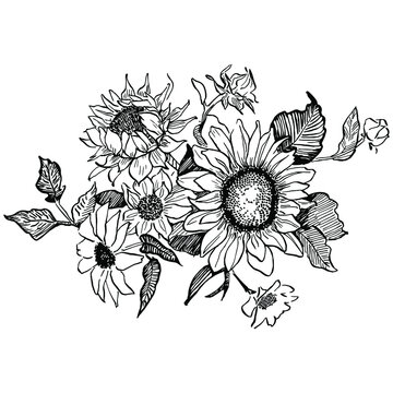 Update 128+ outline sunflower drawing super hot