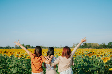 The back of three teenage girls clasping hands together in the middle sunflower field happily....