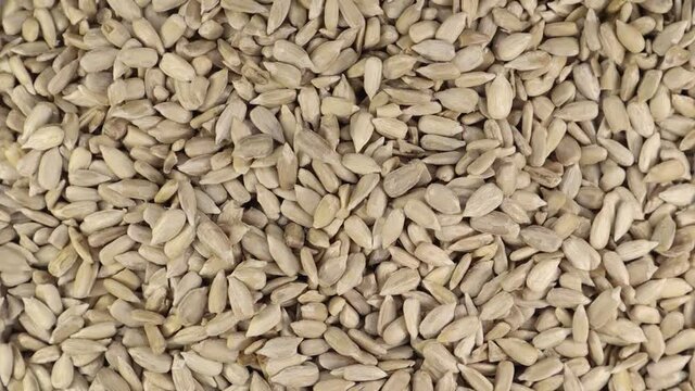 organic, food, closeup, raw, sunflower, grain, heap, dry, agriculture, seed, peeled, macro, natural, ingredient, background, diet, vegetarian, nutrition, kernel, healthy, crop, snack, pile, detail, pl