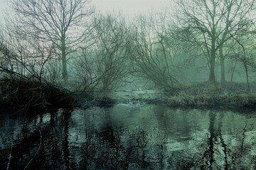 Winter an der Niersaue