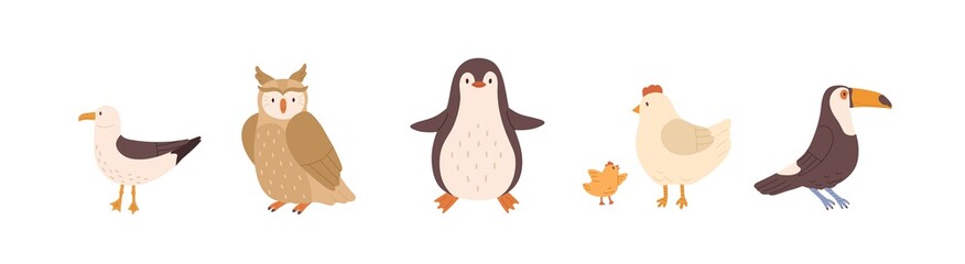 Set of front and side views of cute birds. Gull, owl, penguin, chicken, hen and toucan isolated on white background. Colored flat vector illustration - obrazy, fototapety, plakaty