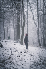 Person steht im Mystischen, nebligen Wald im Winter