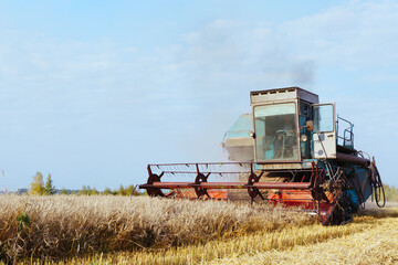 Fototapeta premium Combine harvester harvests ripe wheat. Concept of a rich harvest. Agriculture image.