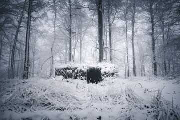 verschneite Ruine im mystischen, nebligen Wald im Winter mit Schnee