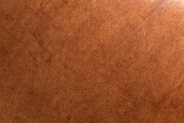 leather grunge background: an old piece of tough camel skin, with scuffs, spots, scars