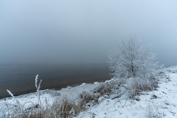Trees covered with frost by Lake Oyeren in Norway