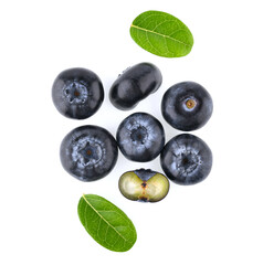 blueberries with green leaf isolated on white background. top view