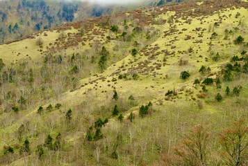 晩秋の山