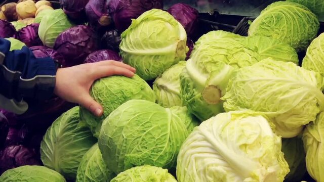 Man selecting fresh cabbage savoy in grocery store produce department.