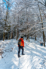 A young man walking through snowy forest in the natural park of Artikutza in Oiartzun near San...