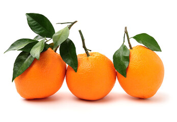 Orange fruit on the white background