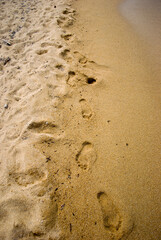 footsteps on the sand