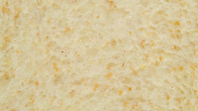 Macro shot of Whole wheat bread slice rotation, Close up.