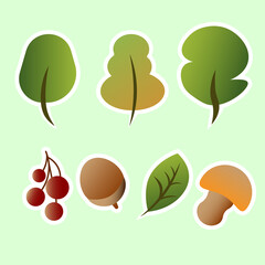Icons set fall trees simple flat illustration stickers mushroom berry leaf acorn autumn harvest isolated elements