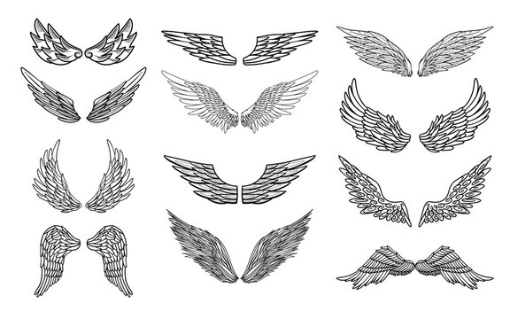 Angel or bird wings abstract sketch set isolated on white. doodle illustration. For your design