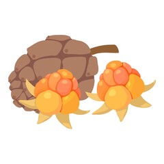 Healthy food icon. Isometric illustration of healthy food vector icon for web